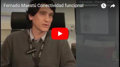Fernando Maestú nos explica en qué consiste la Conectividad Funcional del Cerebro